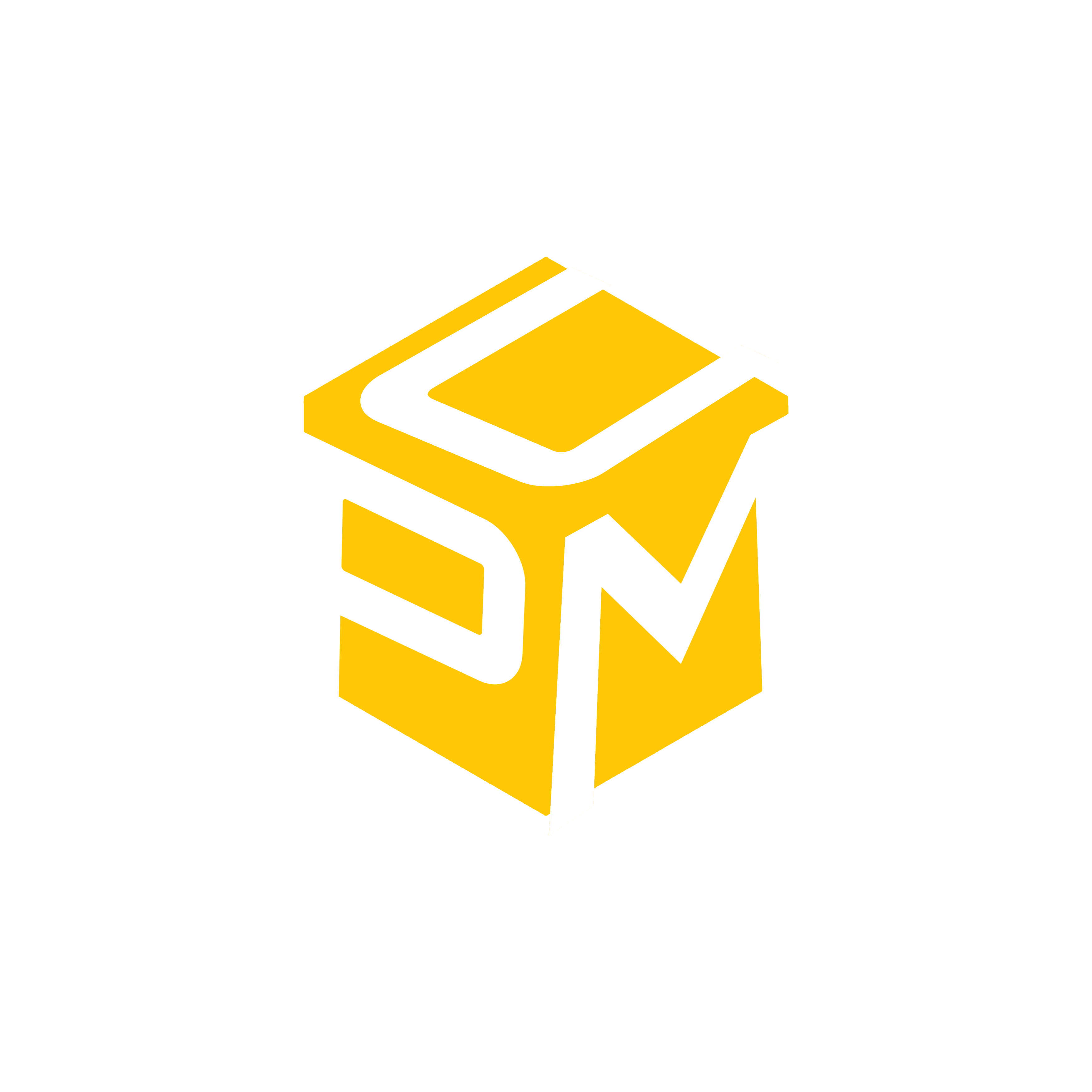 CPM Management Logo